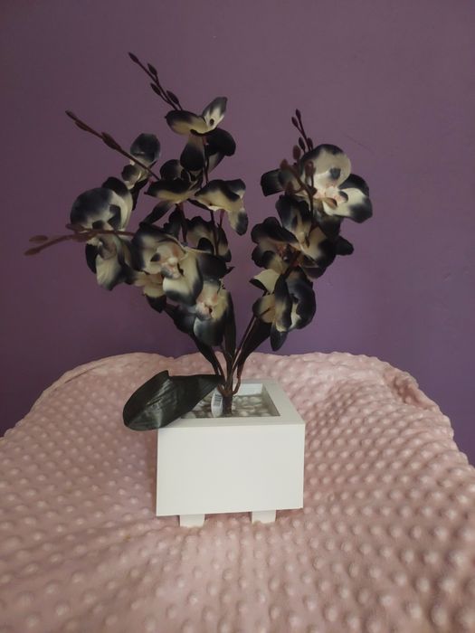 Nowy biało czarny storczyk pięcio-pędowy orchidea kwiaty sztuczne