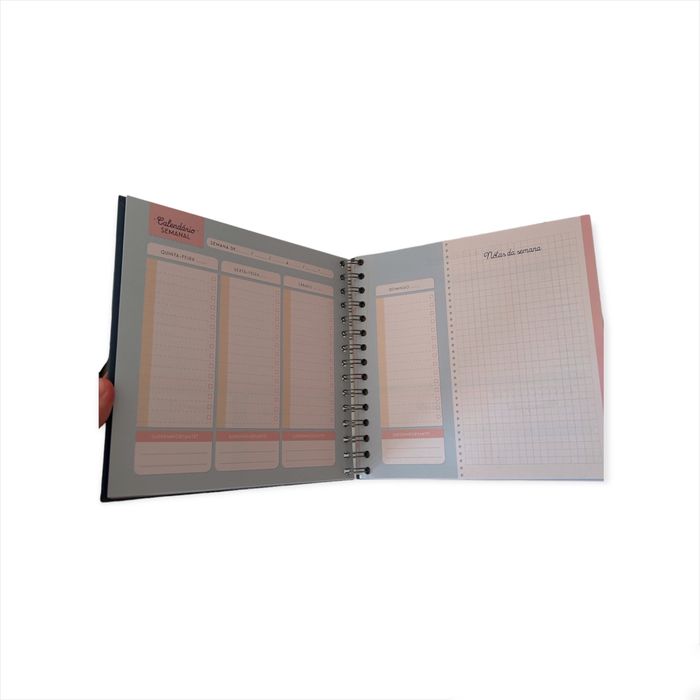 Organizador de Estudo Mr.Wonderful