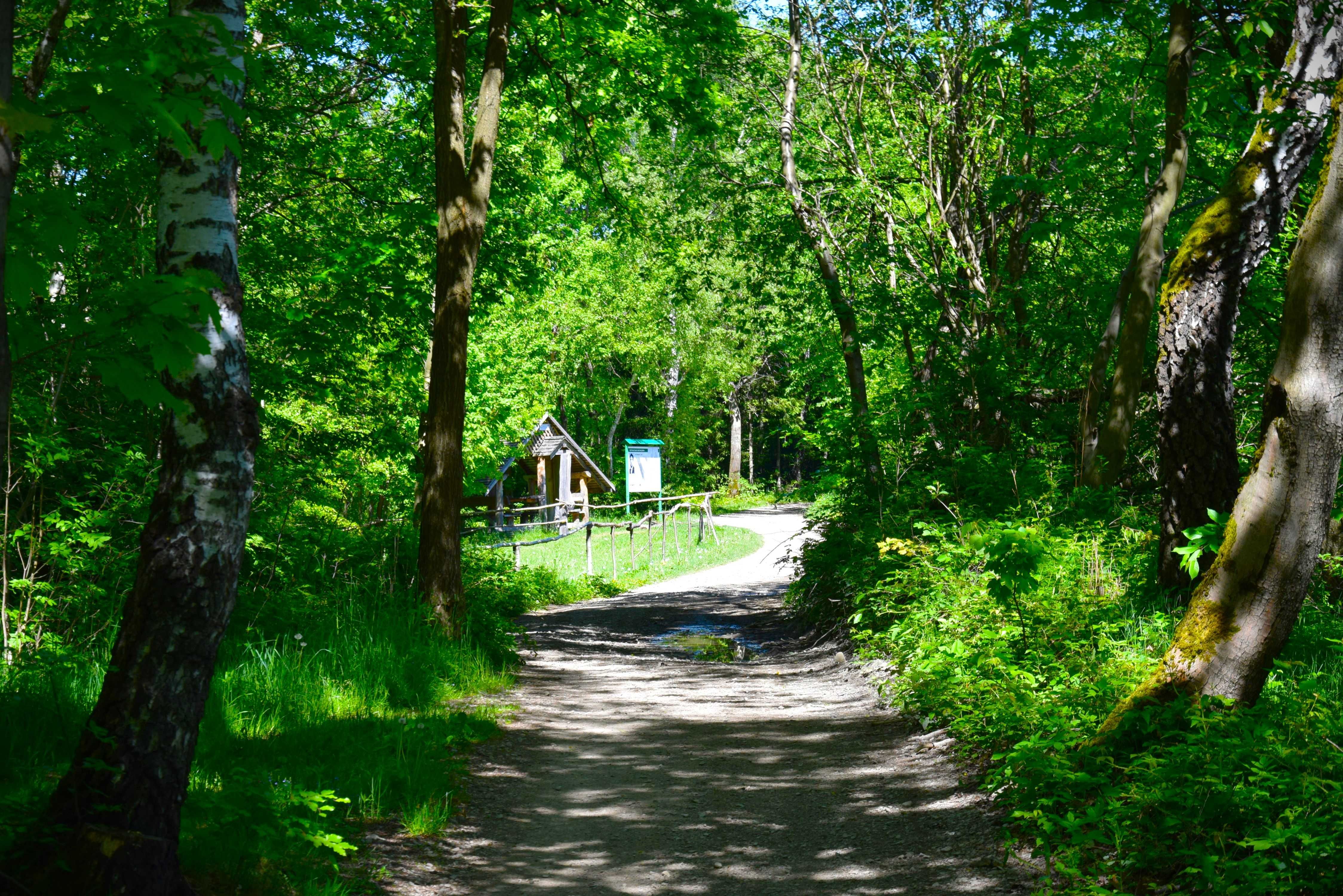 Domki w górach, domki , apartamenty, beskidy, domek całoroczny