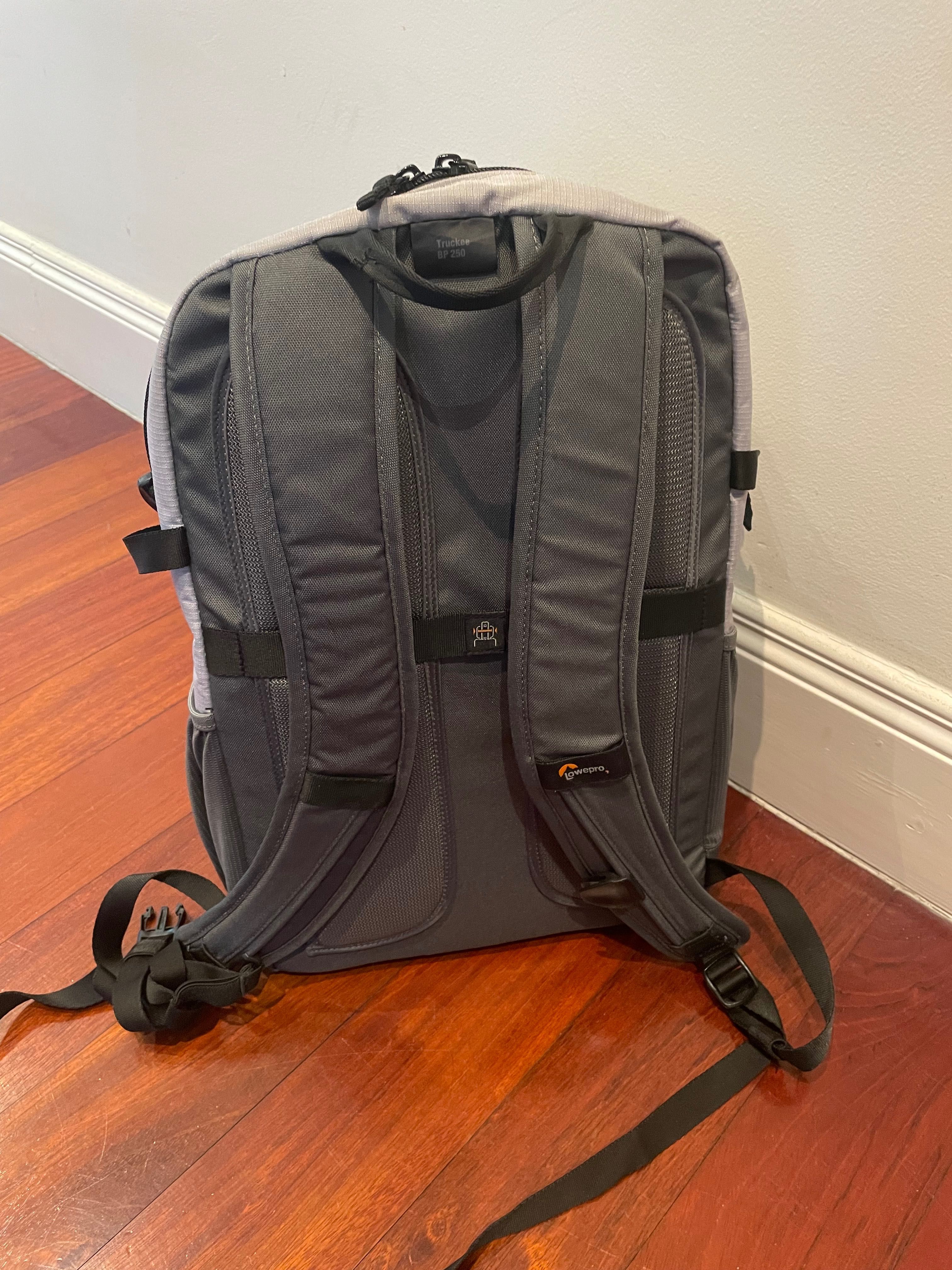 Lowepro mochila TruckeeBP 250 LX (cinza)