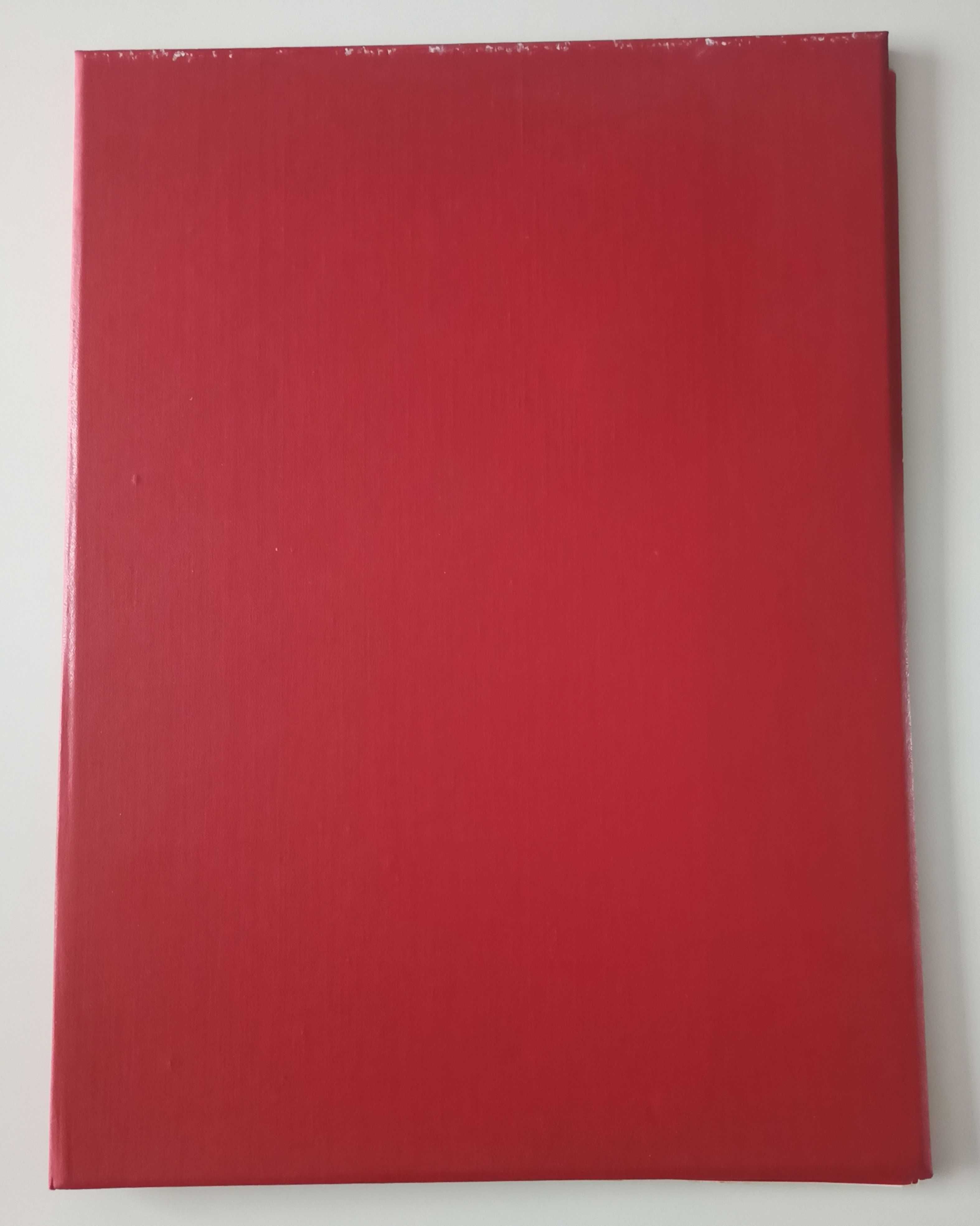 duża teczka na rysunki etui na dyplom czerwona 40,8x30 cm