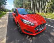 Ford Fiesta Red Race 2016 5L/100KM