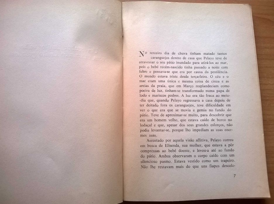 A Incrível e Triste História da Cândida Eréndira e da s/ Avó Desalmada
