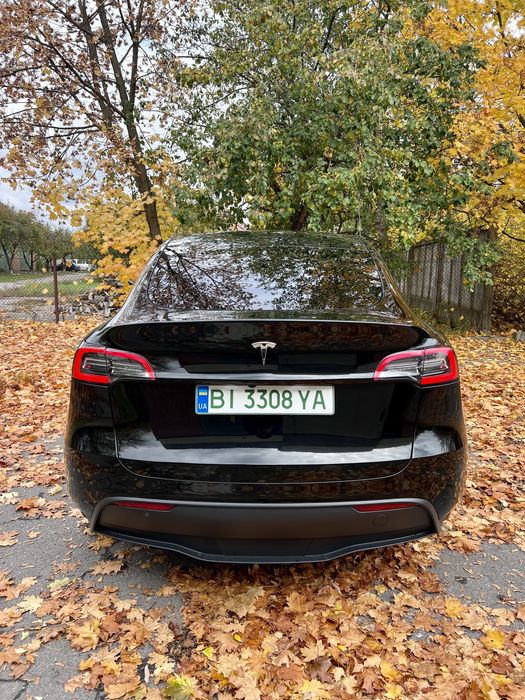 Тесла у Tesla Y 2024