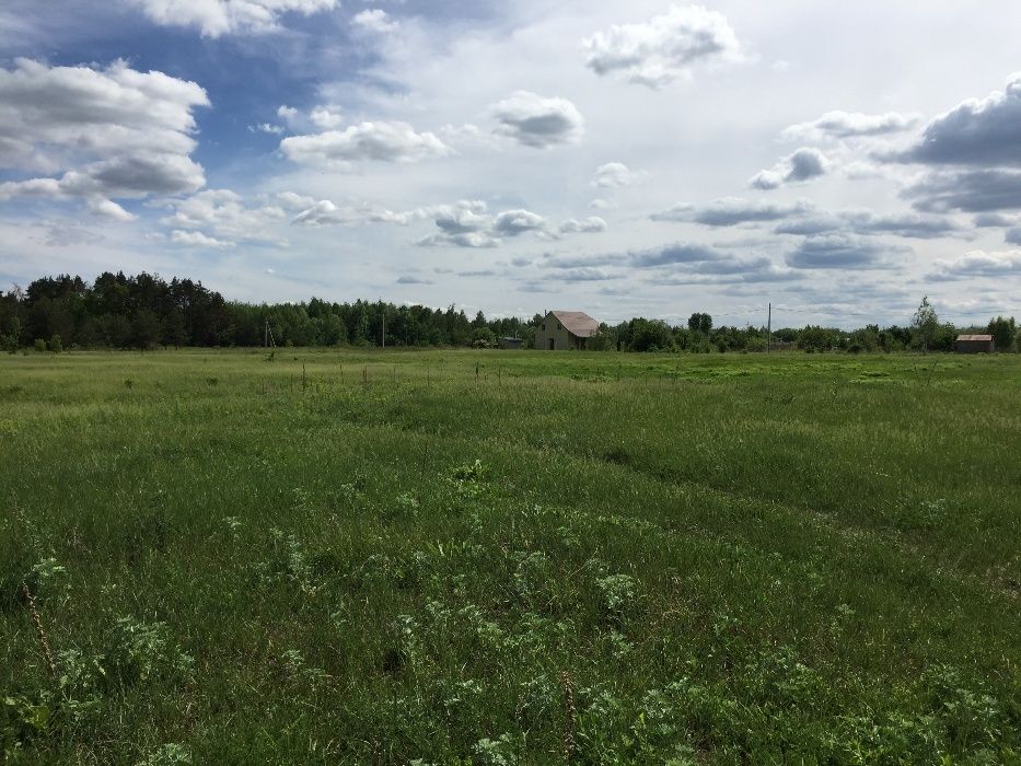 Продаю участок в с. Селичёвка Барышевский район Киевская область.