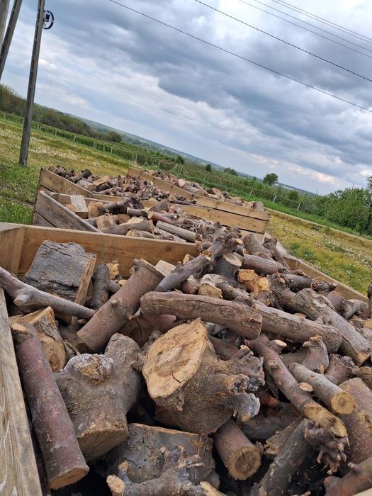 Drewno, drewno opałowe, drewno opałowe jabłoniowe, sezonowane