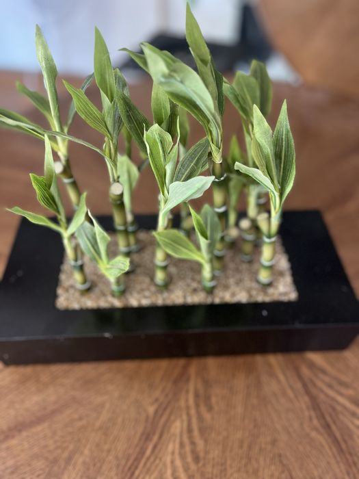 Sztuczny bambus ozdoba