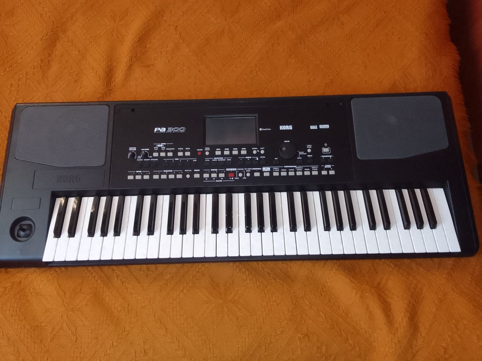 Keyboard Casio CT-X5000 + keyboard Korg Pa 300