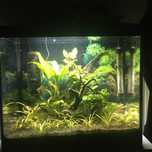Akwarium Aquael LEDDY XL DAY&NIGHT 40