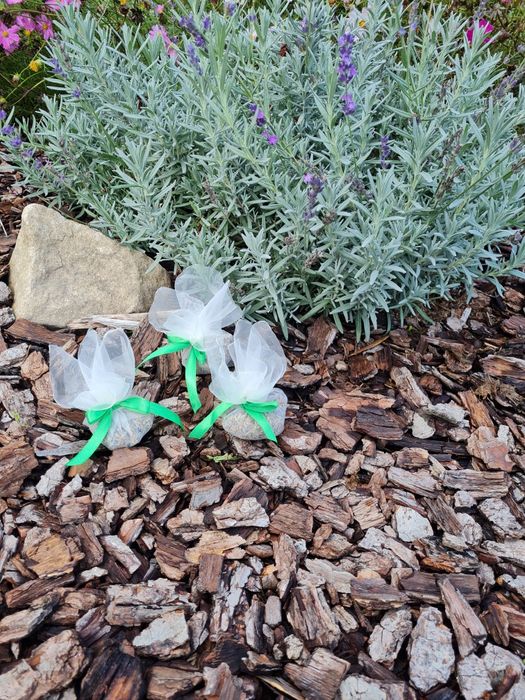 Lawenda suszona- mini torebki