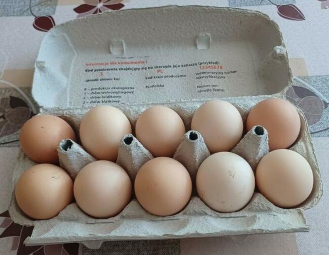 Jajka duże wiejskie dostawa