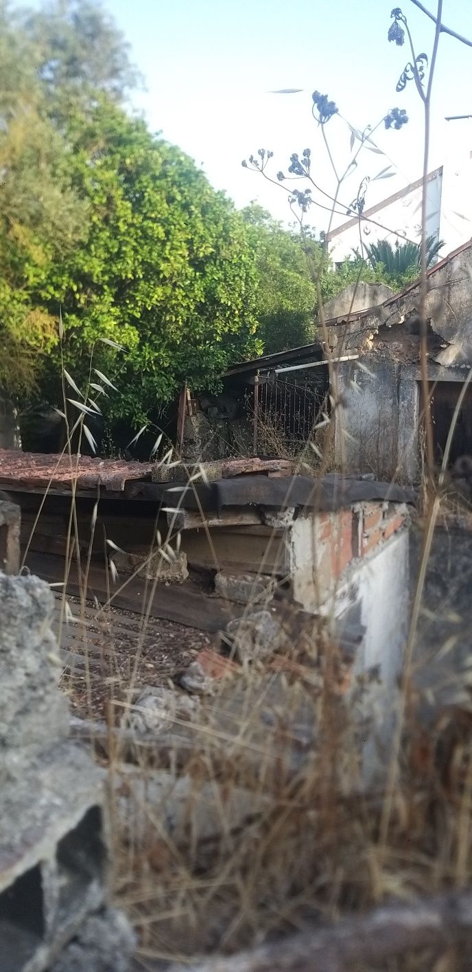 Portão  em ferro