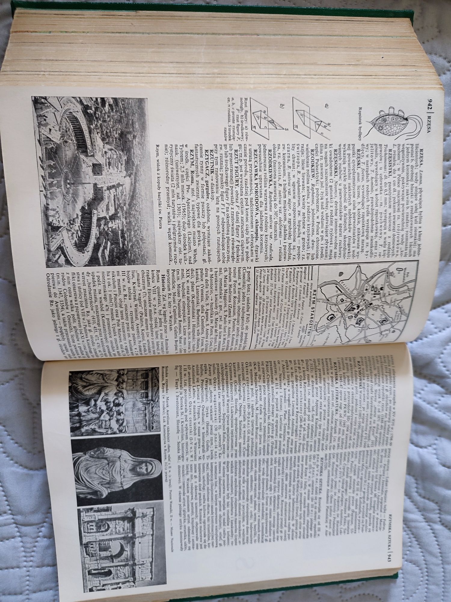 Mała encyklopedia powszechna pwn