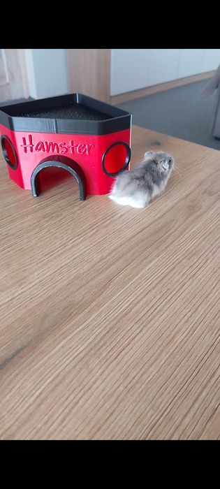 Домик для грызунов/хомяка/мышей/крыс