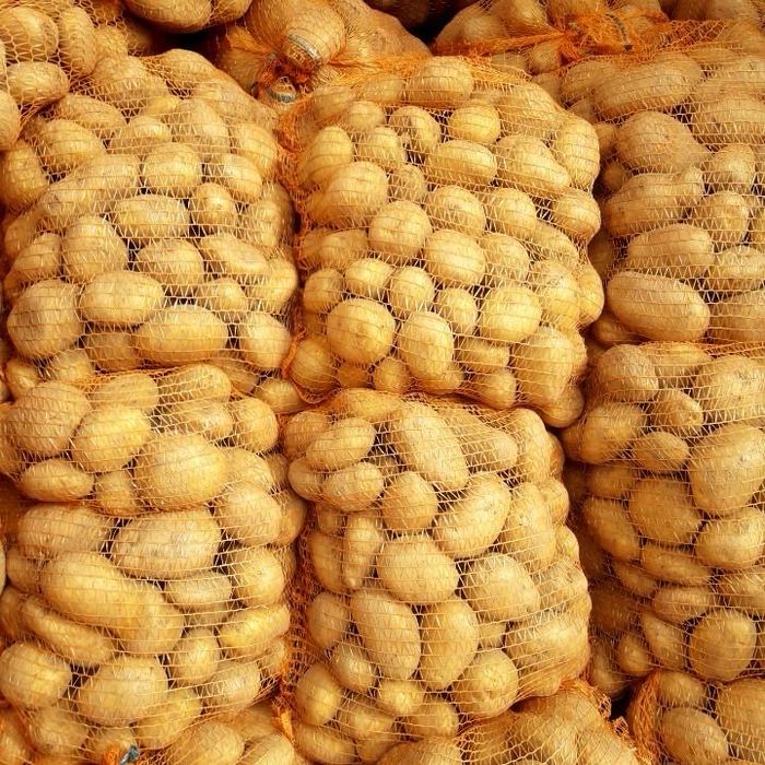 Sprzedam ziemniaki denar, ignacy i queen anna, satina- BIO