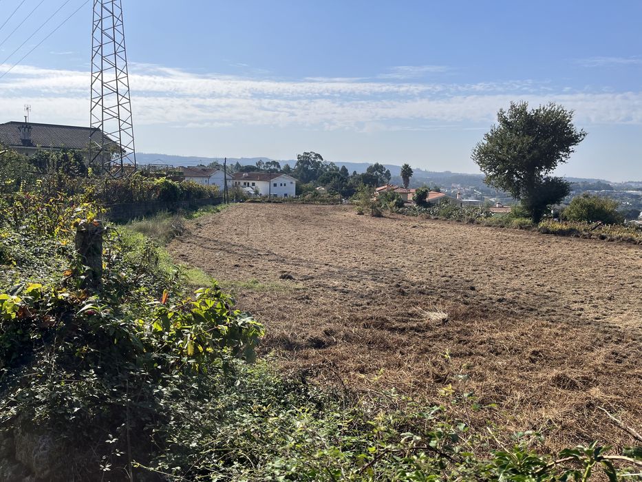 Limpezas de terrenos / desmatação e jardinagem