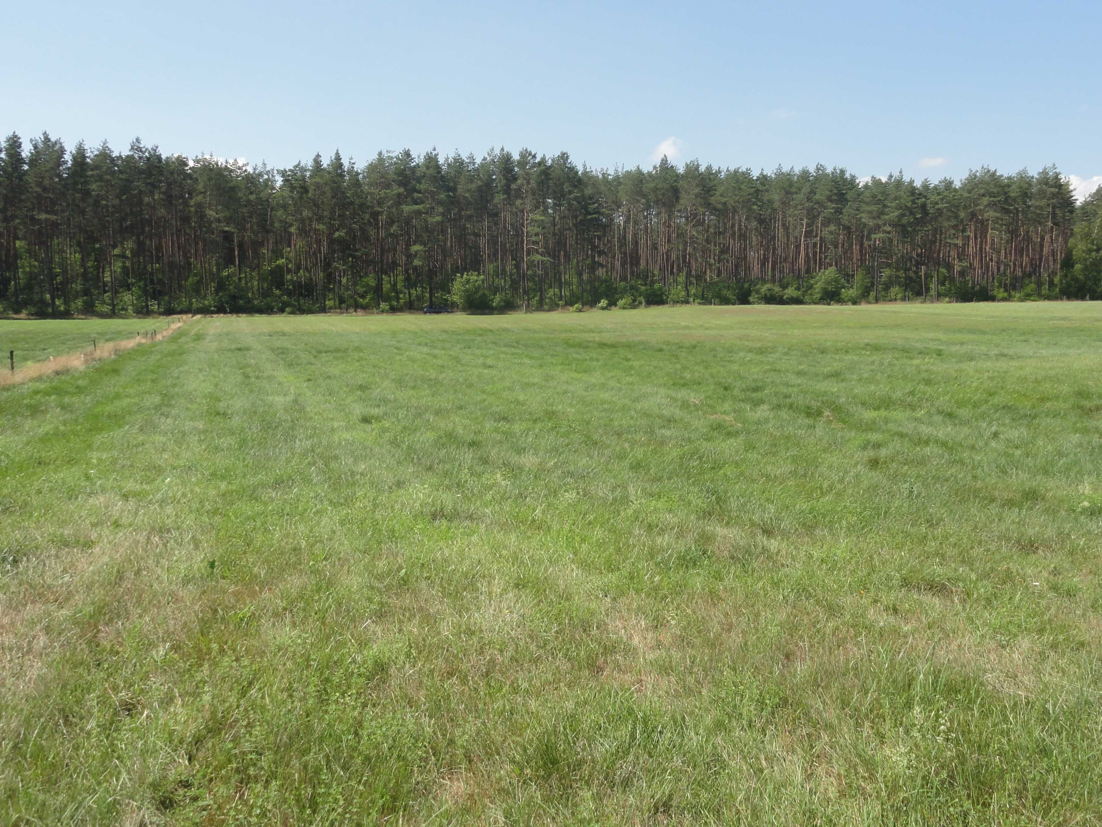 Działka nr 19/1 niedaleko jeziora NIEWLINO 3800 m2 - Nobliny Ostroróg