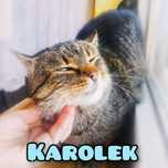 7 kg miłości szuka dobrego domu :)