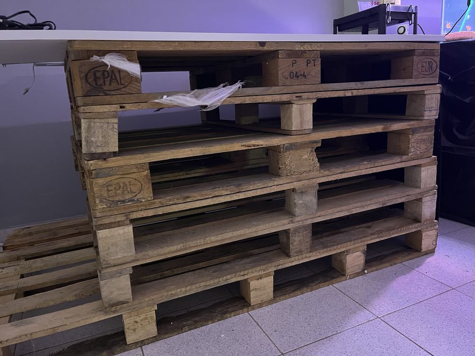 Paletes de madeira