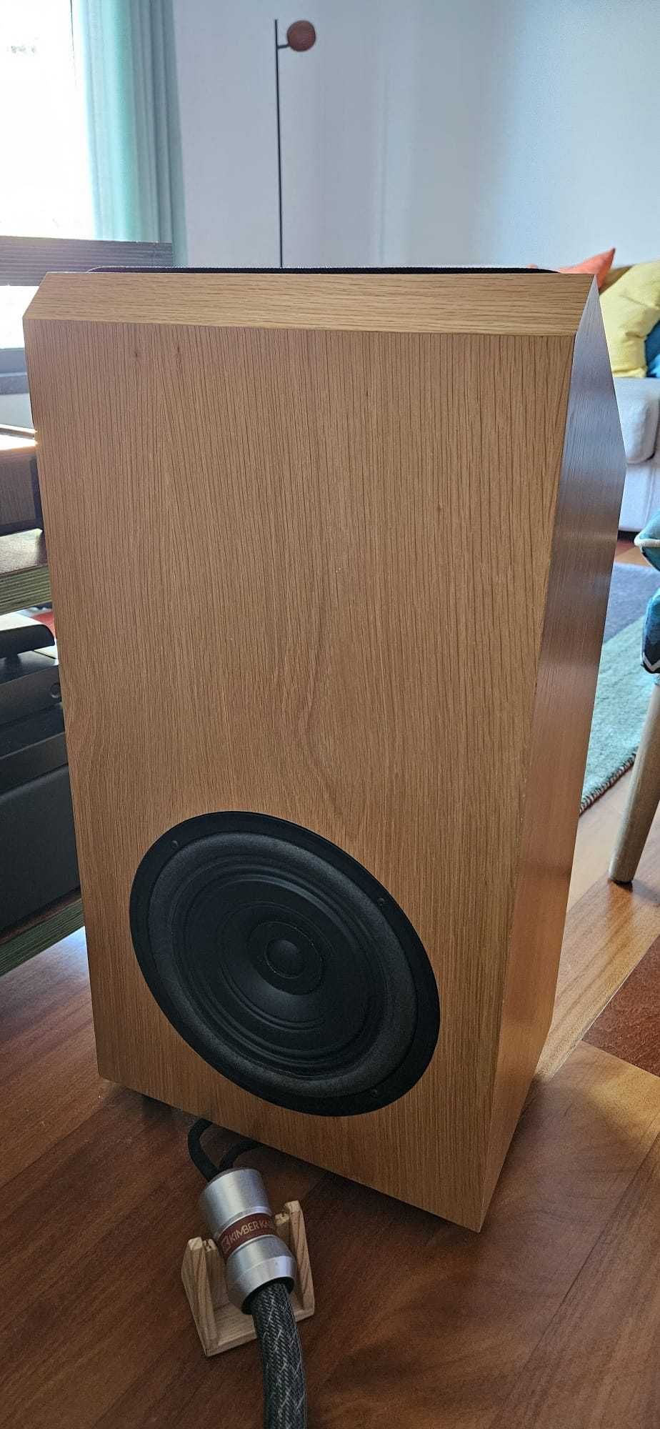 Shahinian Acoustics - Arc