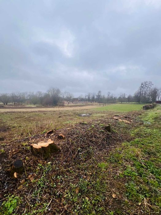 Продається земельна ділянка в с. Парпурівці 2187