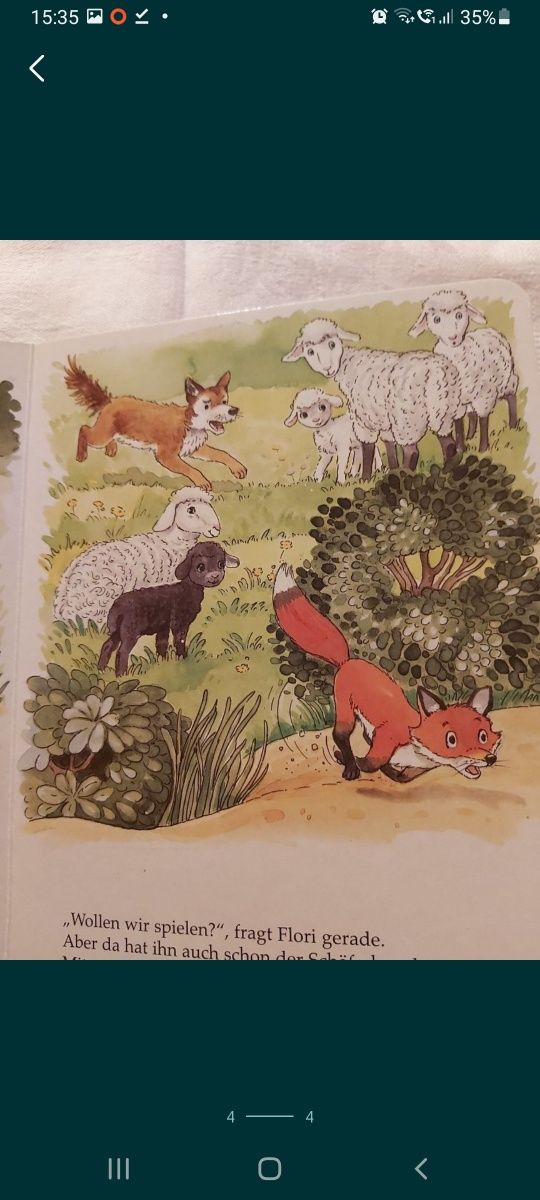 Flori der kleine Fuchs Tierkinder entdecken die Welt Schwager & Steinl