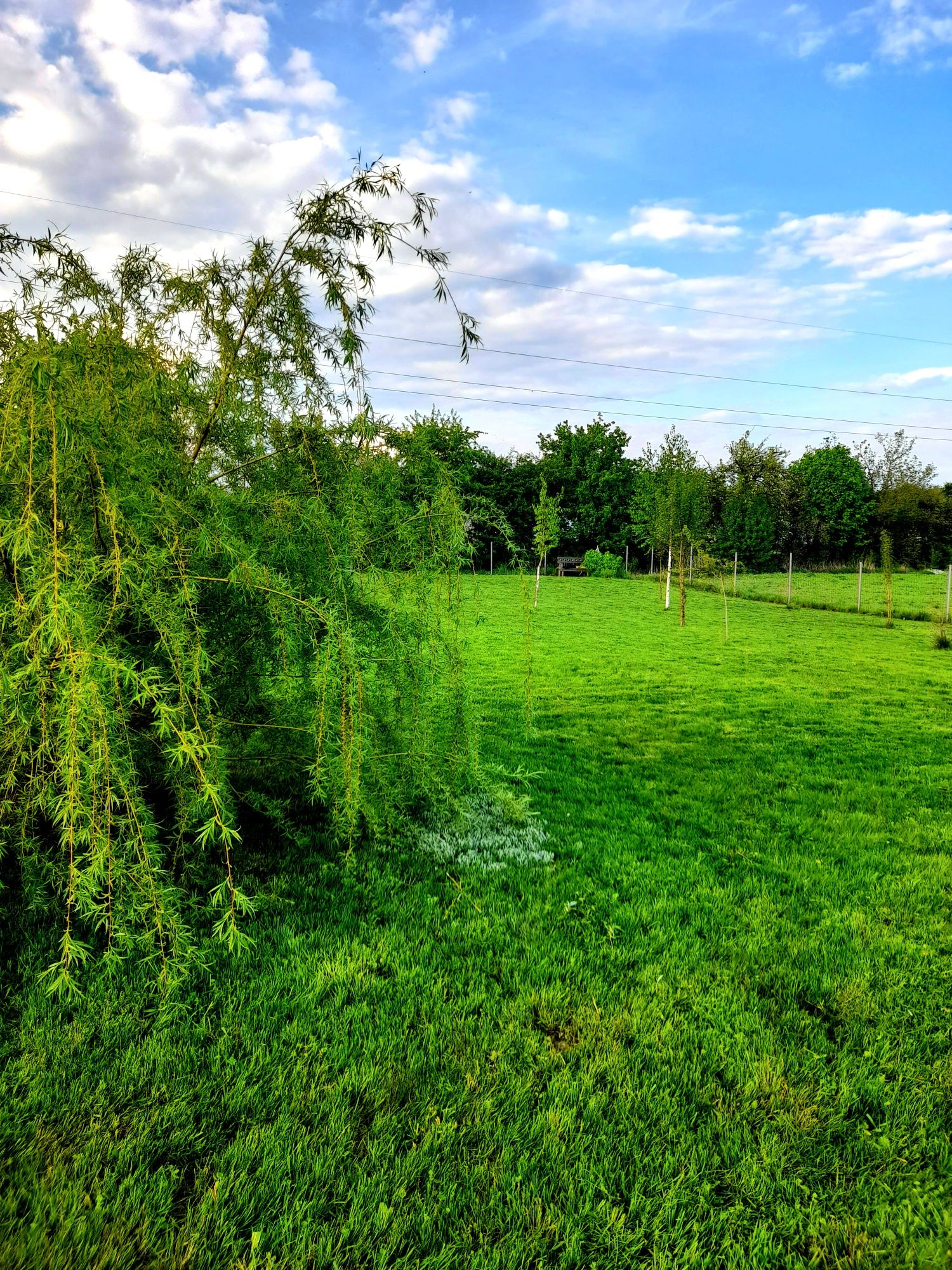 Działka rolno- budowlana
