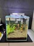 Zestaw akwariowy Aquael FISH&Shrimp z filtrem FZN-3. Gwarancja