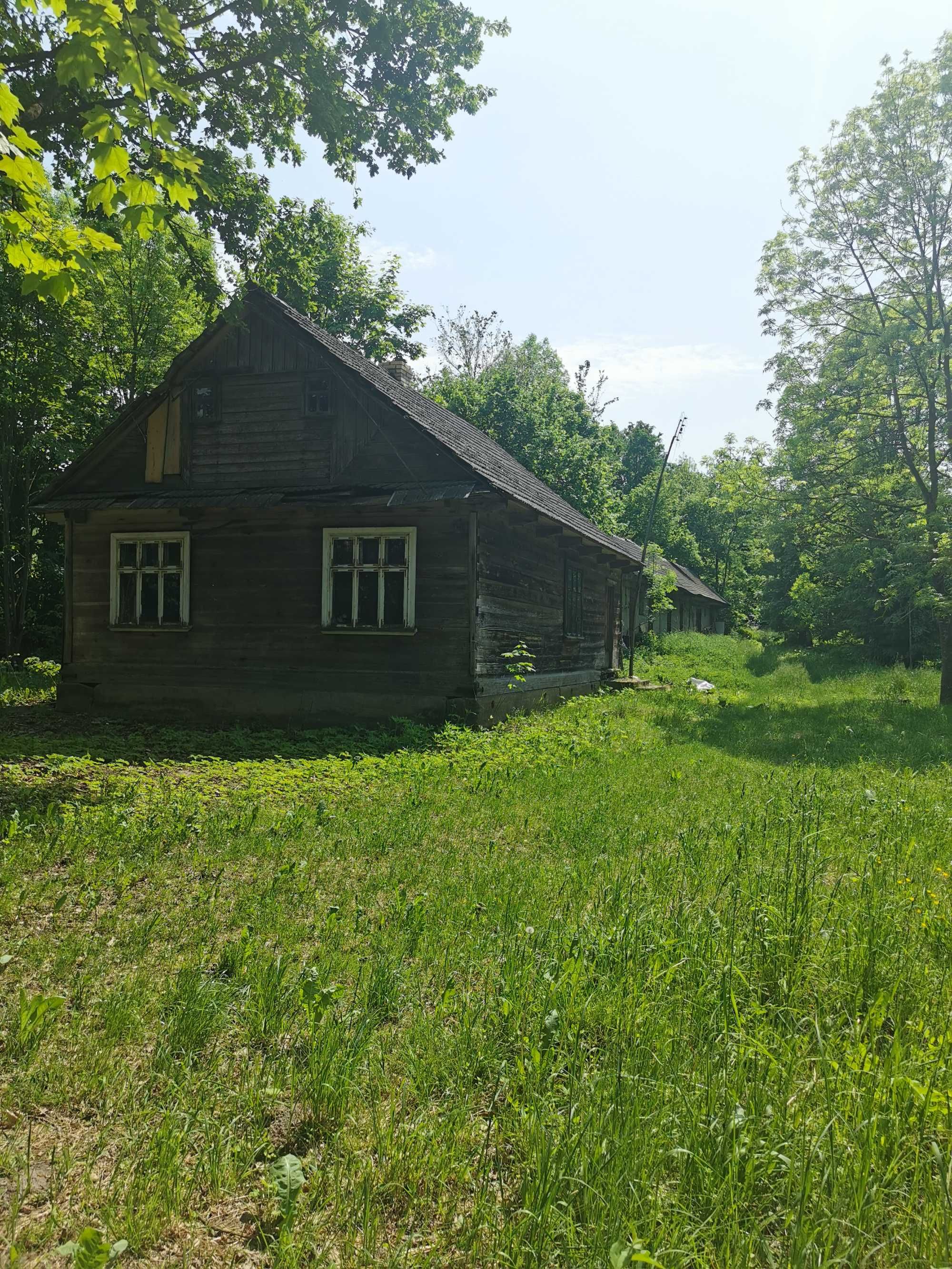 Drewniany dom na dużej działce siedliskowej we wsi Kojły