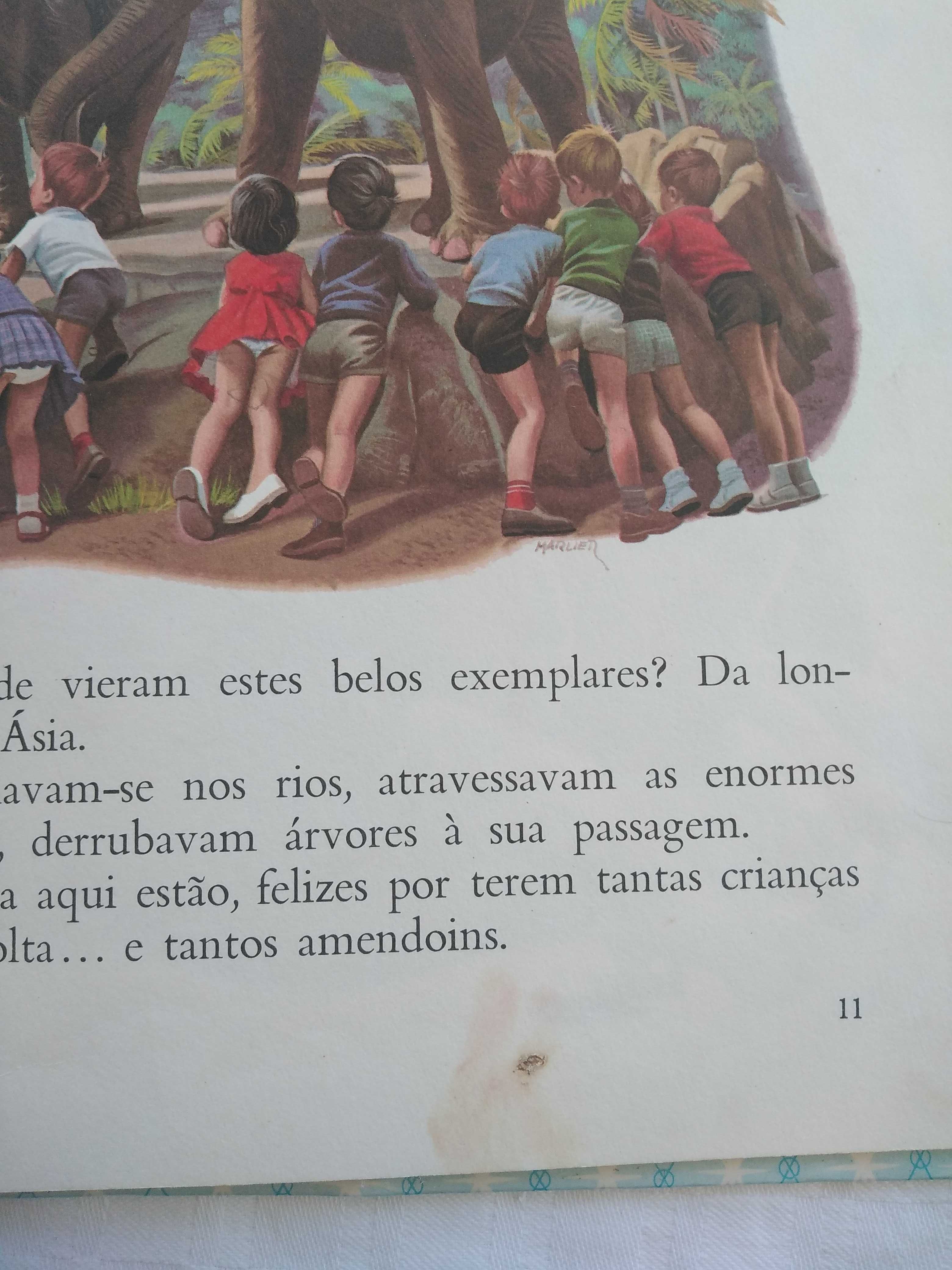 Livro Anita no Zoológico