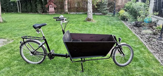 Rower Cargo Bike bakfiets przyczepka skrzynia dla dzieci
