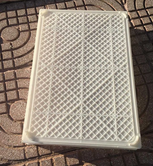 Tabuleiros Plástico (bolos, pão, queijo)