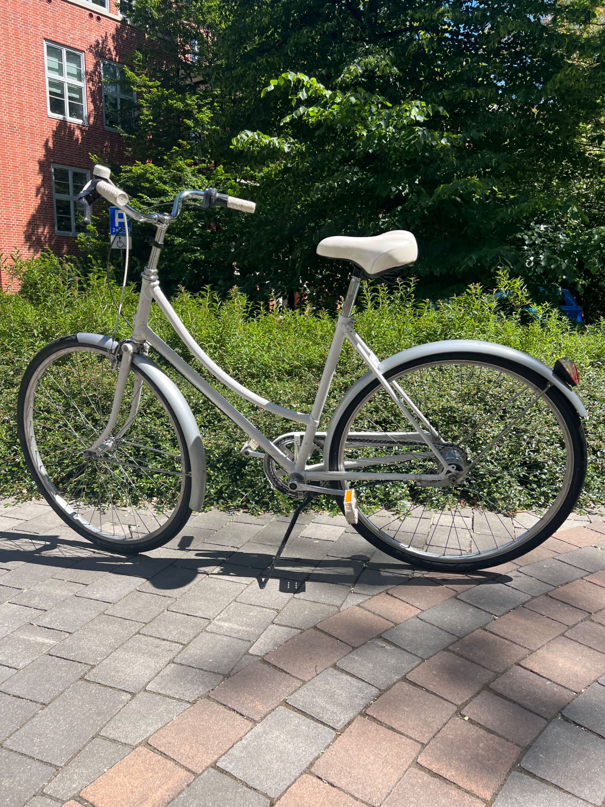 Piękna damka Raleigh