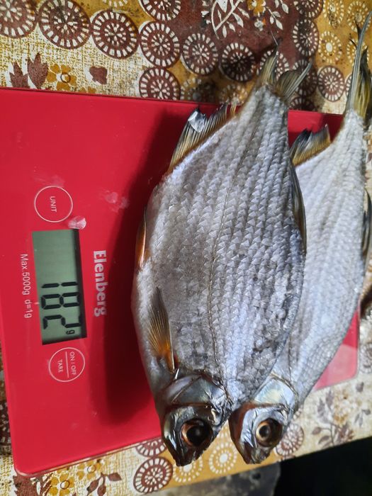 Рыба вяленная густера.