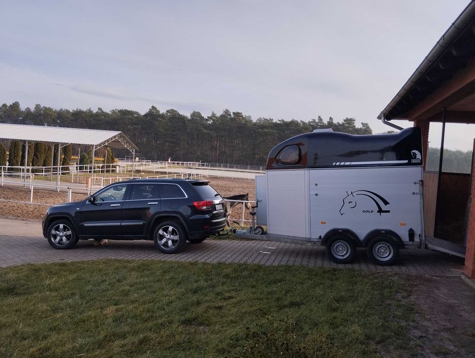 Bukmanka, przyczepa do przewozu koni do wynajęcia