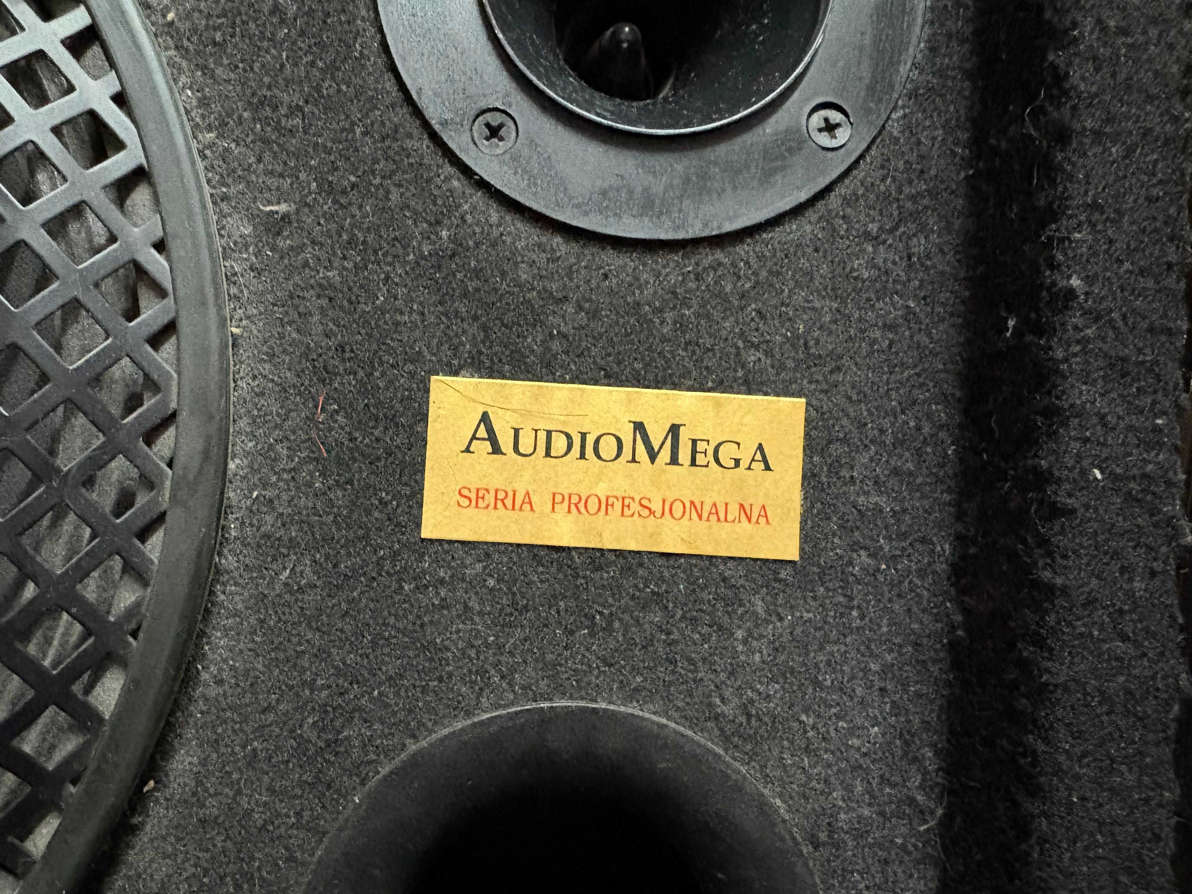 Zestaw odsłuchów - aktywny i pasywny AudioMega EA - 200M