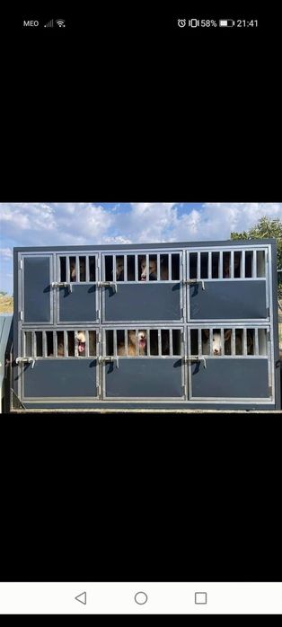 Transportadora para cães