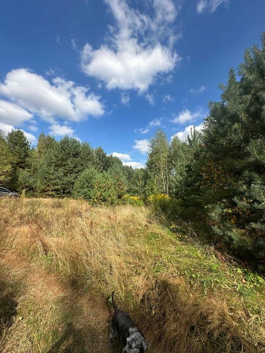 Działka 5100m2 pod lasem, siedlisko