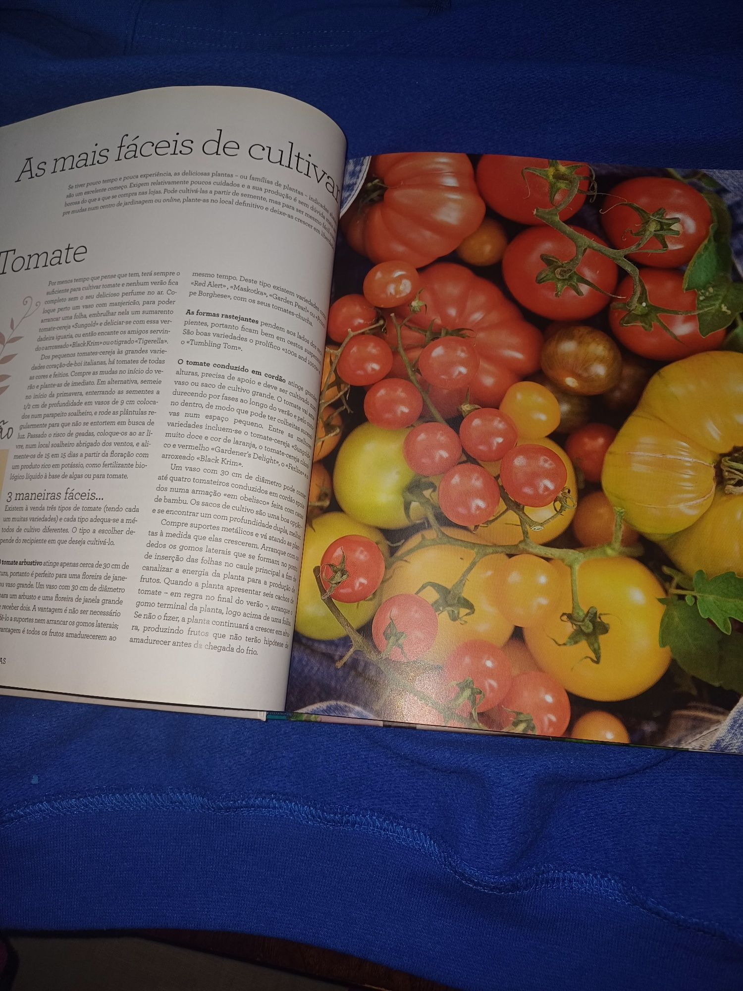 Livro "hortas nas varandas"