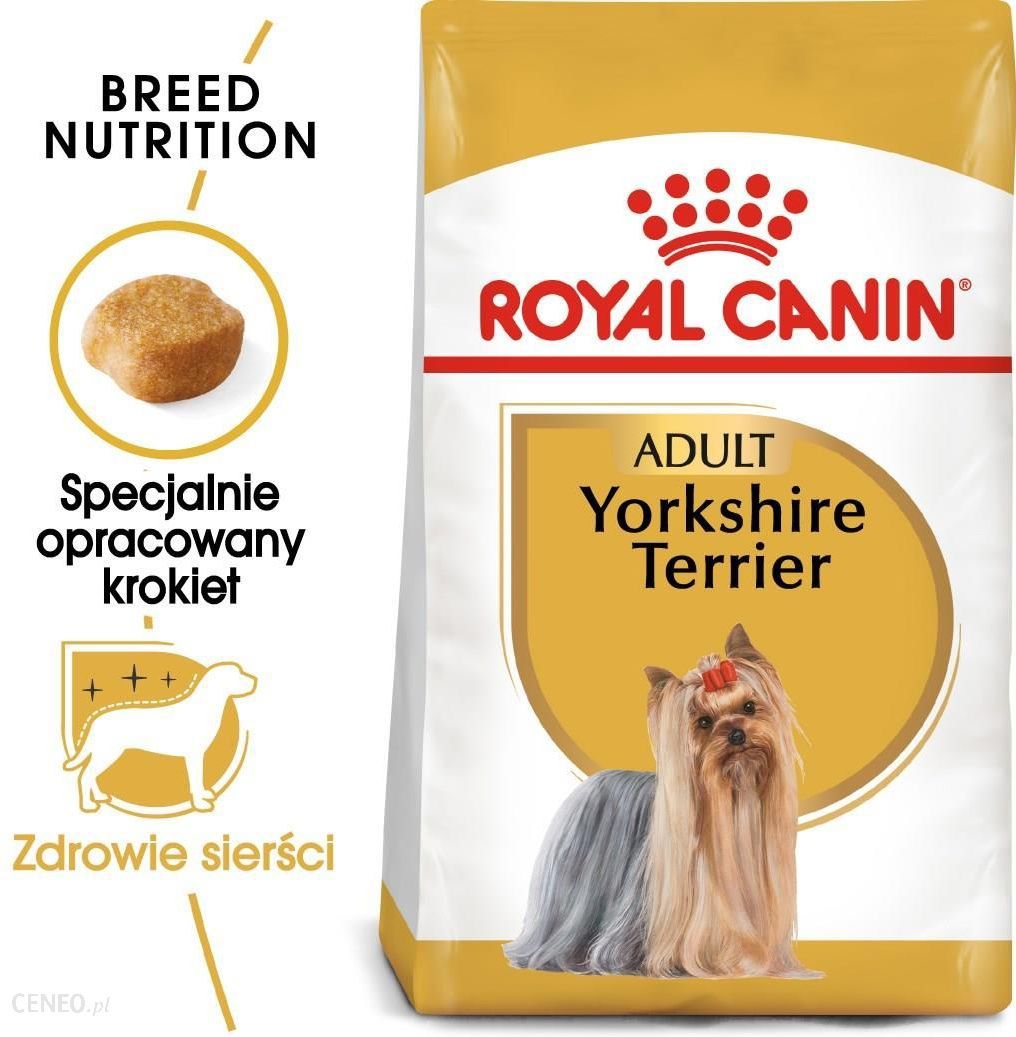 Royal Canin 500g + Gratis, Yorkshire Terrier Adult York Pokarm dla Psa