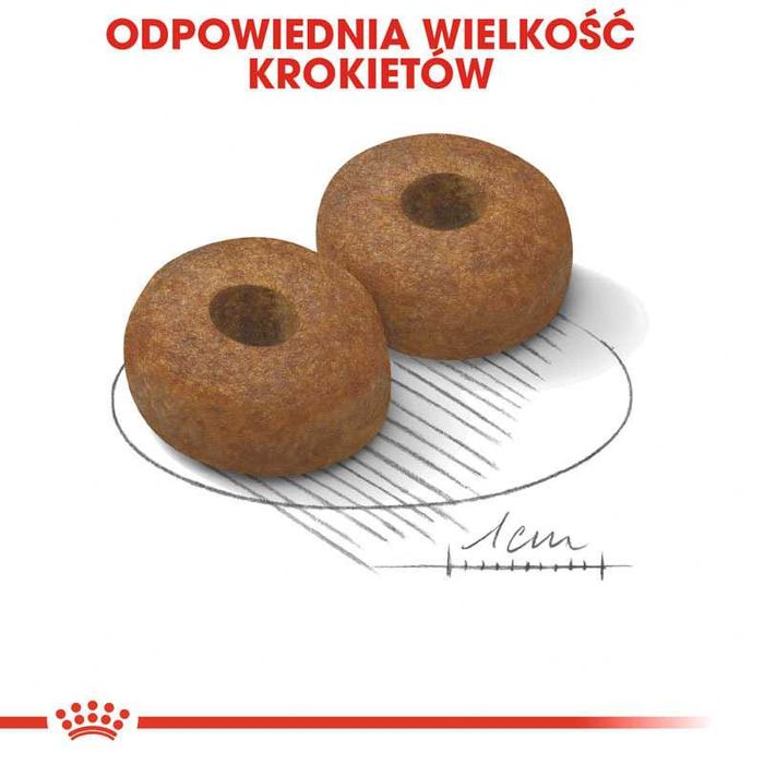 Karma dla psa Royal Canin Maxi Ageing 8+ 15 kg OKAZJA!