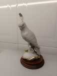 Cacatua. Pássaro em Porcelana. Base Madeira 25 cm