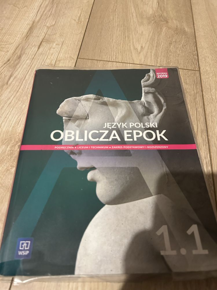 Podrecznik: Jezyk polski Oblicza epok 1.1