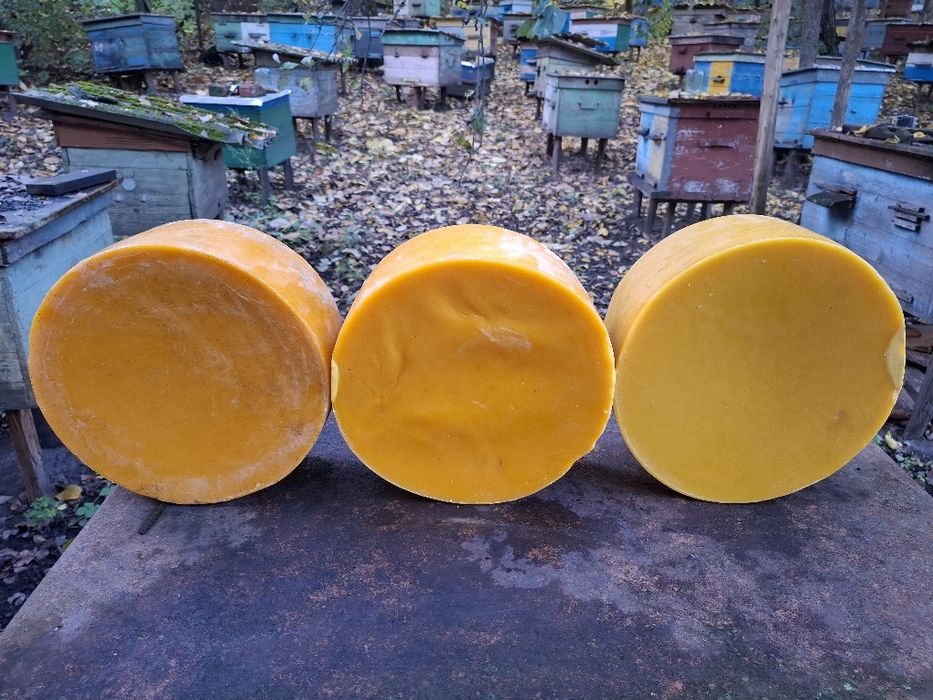 Продам забрусовий бджолиний віск