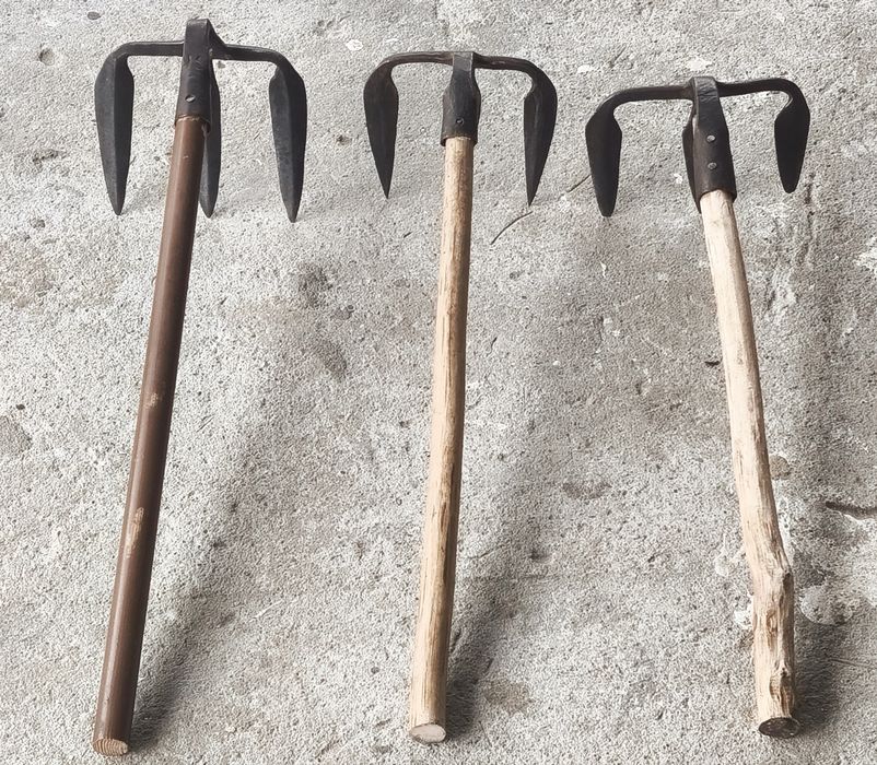 Motyki kute do ziemniaków