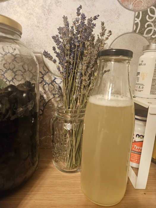 Zakwas / enzymy Bołotowa wg przepisu Barbary Kazany. 700 ml