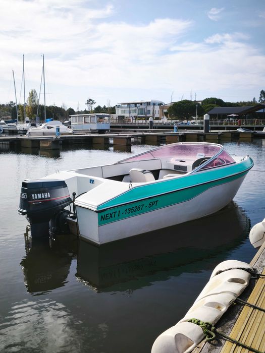 Lancha Argus 4,65 c/atrelado