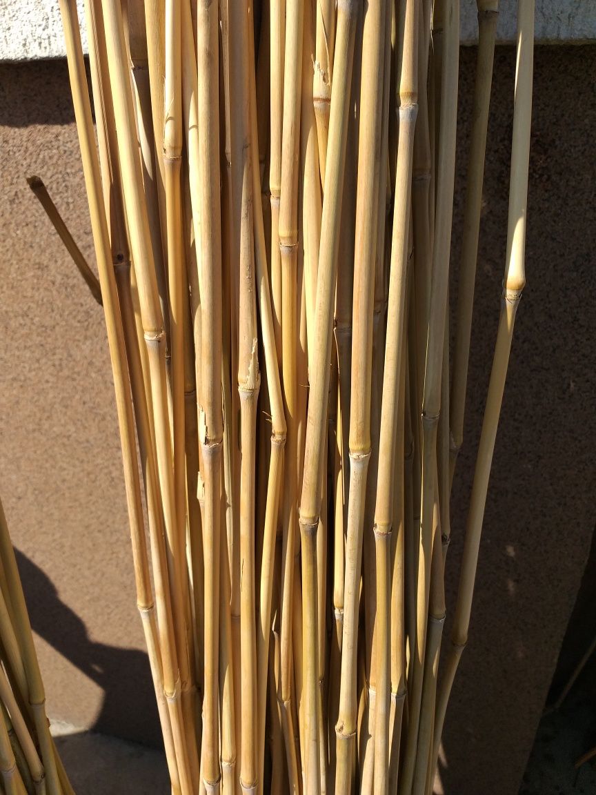 Bambus tyczka paliki