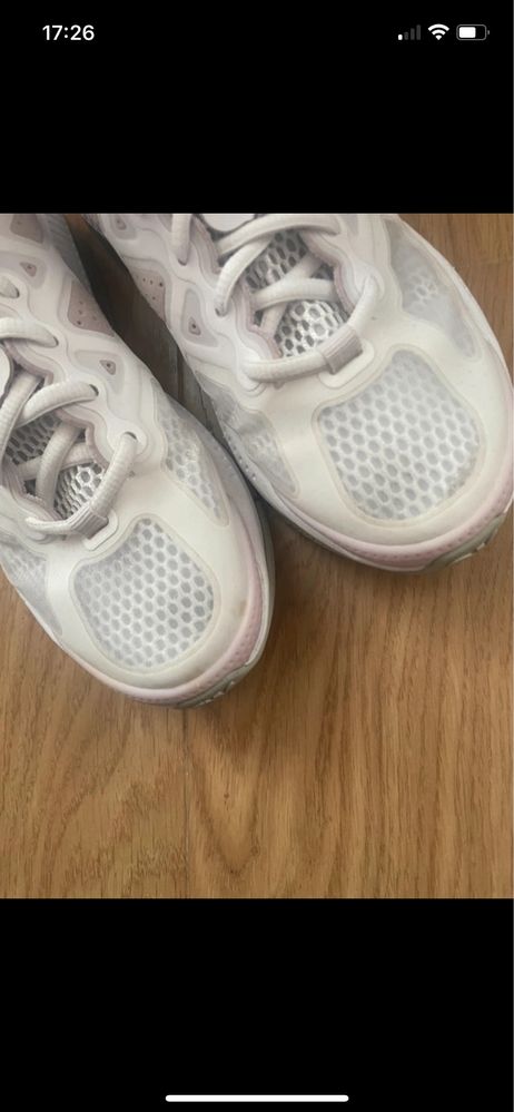 Nike air max genome