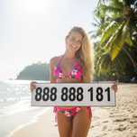 Zloty numer 888_888_181